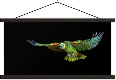 Produktbild von MuchoWow® Textilposter Papagei - Vogel - Federn 150x75 cm mit schwarzem Rahmen - Posterleiste