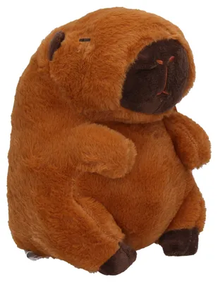 Image de Kapybara sedící plyš 22 cm