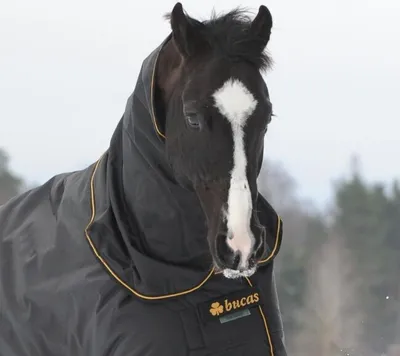 Produktbild von Bucas Halsteil 0g Irish Neck Black/Gold 105