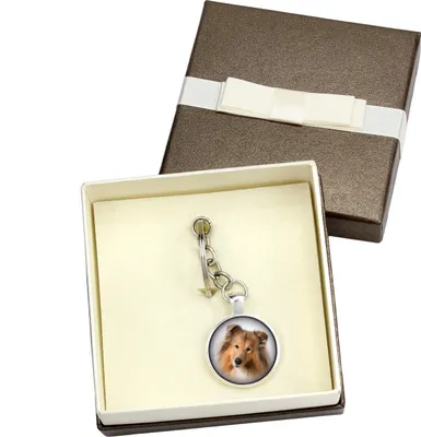 Image de Colie à poil dur - porte-clés dans une boîte, photo personnelle, chaîne de clé de marque Art-Dog