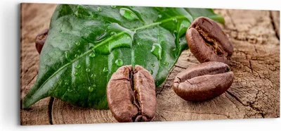 Produktbild von Bild auf Leinwand - Leinwandbild - Aroma Kaffee Pflanze Samen - 100x40cm - Wand Bild - Wanddeko - Leinwanddruck - Bilder - Kunstdruck - Wanddekoration - Leinwand bilder - Wandkunst - AB100x40-2548