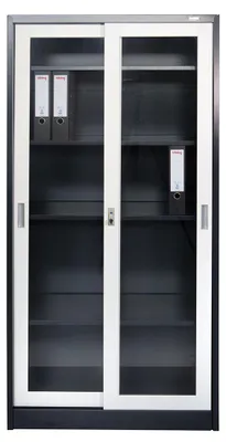 Image de Armoire à dossiers St. Petersburg gris foncé et blanc