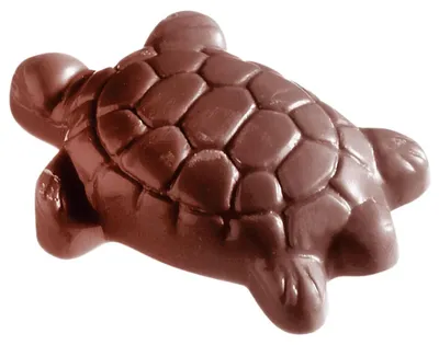 Image de Moule à chocolat - Tortue