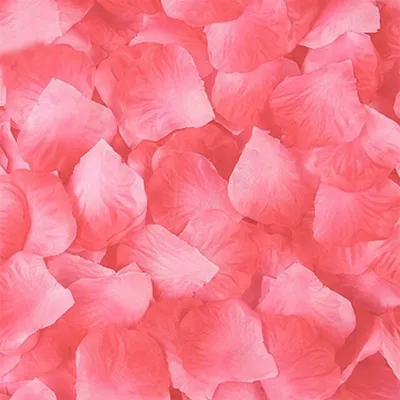 Immagine prodotto di 100 petali di rosa, rosa