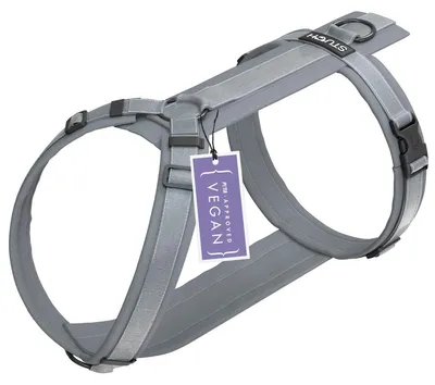 Hundegeschirr aus Nylon, gepolstert, verstellbar, grau, XXS