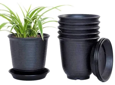 Image de Jeu de 6 pots de fleurs en plastique, 15,5 cm, avec système de drainage, couleur noire