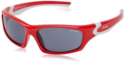 Produktbild von Alpina Flexxy TEEN Unisex-Sonnenbrille mit Vollrand, Kunststoff