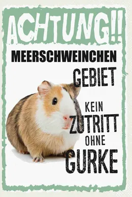 Produktbild von vianmo Holzschild 30x20 cm Tiere Achtung Meerschweinchen