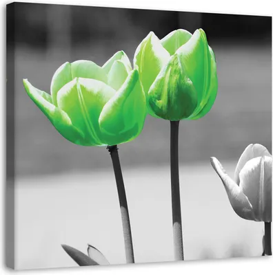 Produktbild von Leinwandbild grüne tulpen in grau 40x40 cm Feeby grün wandbild bereit zum aufhängen