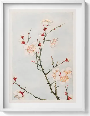 Produktbild von Minimalistische Illustration eines Zweigs mit Blumen– Wandbild mit Rahmen – Gerahmtes Bild  – Wanddekoration – 60x80 cm –  Weiß Rahmen