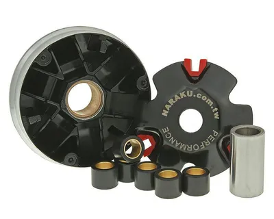 Immagine prodotto di Variatore NARAKU Sport NK900.81