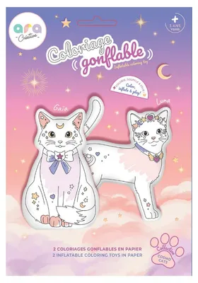 Immagine prodotto di Ara Creative, set di 2 quadretti da colorare gonfiabili a forma di gatto spaziale