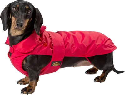 Produktbild von Fashion Dog Hundemantel speziell für Dackel - Rot - 47 cm