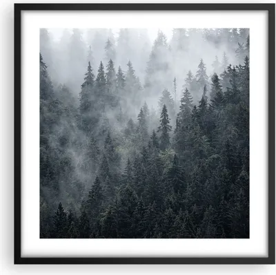Produktbild von Gerahmtes Poster - Schwarzer Rahmen - Wald Baum Natur - 50x50 cm - Wand Bild - Wanddeko - Wandbilder - Kunstposter - Wandposter - Bilderrahmen - Bilder - Kunstdruck - Wandbild - P2BAC50x50-4074