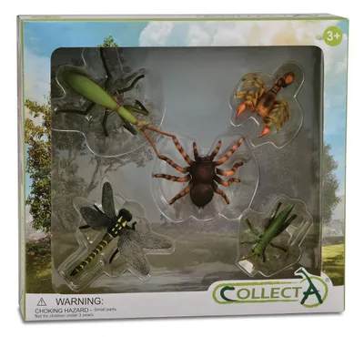 Obrázek produktu pro Sada 5 figurek hmyzu - Collecta