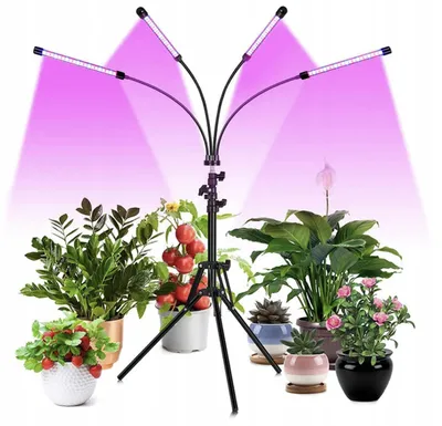 Obrázek produktu pro LED růstová lampa pro pěstování pokojových rostlin, lampa pro pěstování pokojových rostlin s červeným / modrým / červeno-modrým světlem