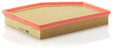 Immagine prodotto di Filtro aria MANN-FILTER C 30 139