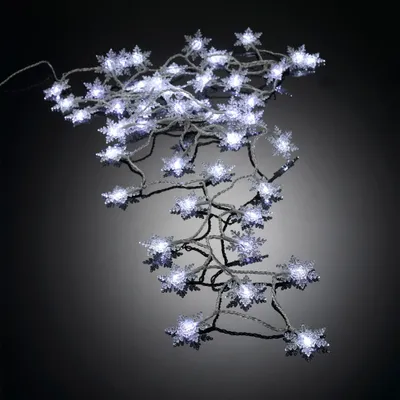 Image de Guirlande flocons 50 Led