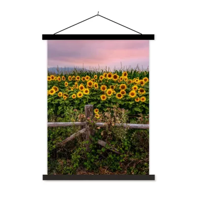 Produktbild von MuchoWow® Textilposter Sonnenblume - Blumen - Pflanzen 120x160 cm mit schwarzem Rahmen - Magnetischer
