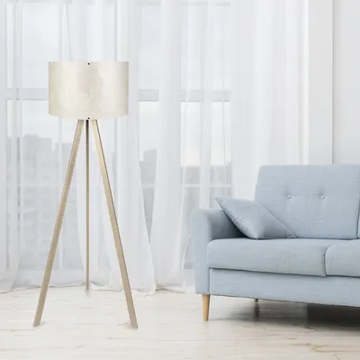 A floor lamp and a sofa in a living room.
