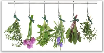 Produktbild von Acrylglasbilder 120x60 Wandbild Druck Blumen Blätter Pflanzen