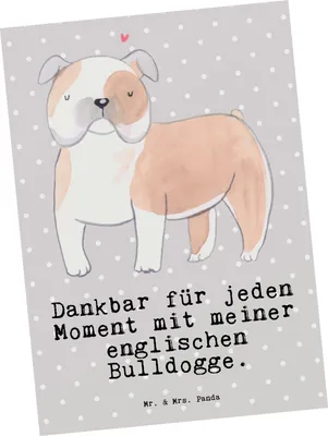 Produktbild von Mr. & Mrs. Panda Postkarte Englische Bulldogge Moment - Grau Pastell - Geschenk, Ansichtskarten, Postkarten, English Bulldog, bildkarte, Ansichtskarte, Grußkarte