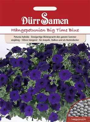 Produktbild von Dürr-Samen - Petunien Big Time Blue dunkelblau einjährig 100 cm - Saatgut - 1982