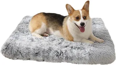 Productafbeelding van Pluche Honden- en Kattenkussen met Antislipbodem, Grijs