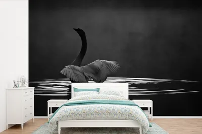Produktbild von MuchoWow® Fototapete für Wohnzimmer oder Schlafzimmer Wandtapete Vinyl Motivtapete Schwan auf dem Wasser - 360x240 cm - Vinyl-Tapete