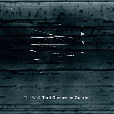 Obrázek produktu pro Tord Gustavsen: The Well