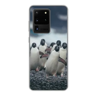 Produktbild von MuchoWow® Handyhülle Schutzhülle Hülle für Samsung Galaxy S20 Ultra Adeliepinguine am Strand Silikon Softcase Handy Hülle - Karteninhaber