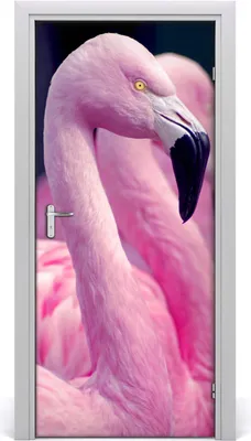 Produktbild von Tulup Türaufkleber 95x205 cm Dekorative Aufkleber Selbstklebend Wasserdichte Tapete Abnehmbar Schlafzimmer Wohnzimmer Wohnkultur - Flamingos Wand