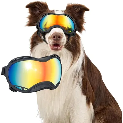 Produktbild von Hundebrille, Sonnenbrille für Hunde Winddicht und staubdicht mit UV-Schutz, Langlebig und komfortabel Einstellbar Hundesonnenbrille für Schnee,Outdoor