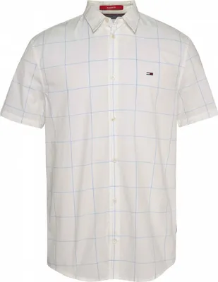 Produktbild von Hemd Tommy Jeans DM0DM15923-YBH für Herren