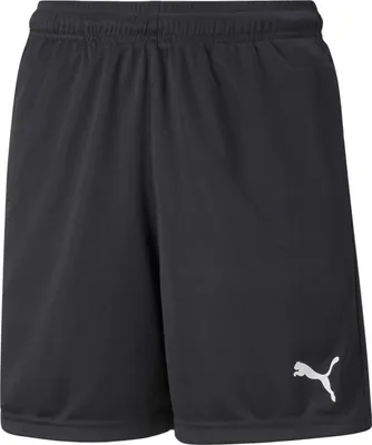 Produktbild von Shorts Puma 657539-03 für Kinder