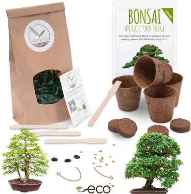 Produktbild von Bonsai Starter Kit Anzuchtset inkl. GRATIS eBook - Pflanzset aus Kokostöpfen, Samen & Erde (Zwerg-Granatapfel + Tamarinde)