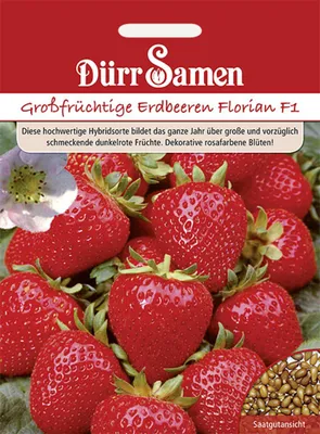 Produktbild von Dürr-Samen - Erdbeeren Florian F1 - Saatgut - 1004