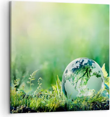Produktbild von Bild auf Leinwand - Leinwandbild - natur natur - 50x50cm - Wand Bild - Wanddeko - Wandbilder - Leinwanddruck - Bilder - Kunstdruck - Wanddekoration - Leinwand bilder - Wandkunst - AC50x50-4041