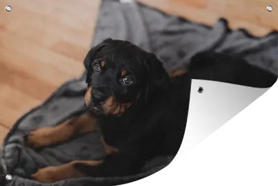 Produktbild von MuchoWow®