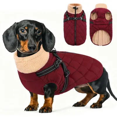 Image de Manteau d'hiver pour chien avec harnais intégré, imperméable, taille XS, couleur bordeaux