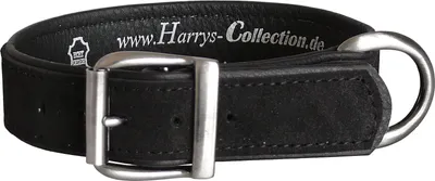 Produktbild von Hundehalsband aus feinstem Leder in vielen Farben von 28-48 cm
