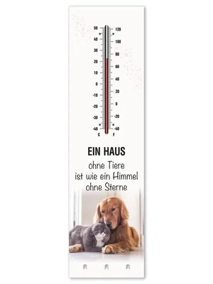 Produktbild von Thermometer + Schlüsselhalter - Haus ohne Tiere T001