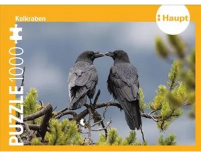 Obrázok produktu pre Havran - Hádanka