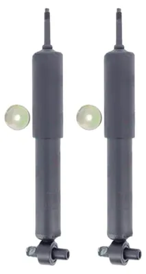 Immagine prodotto di Ammortizzatore Fiat Anteriore 132, Argenta Fso 132P, Polonez I 1.5-2.5D 04.72-08.88 Sinistra/Destra