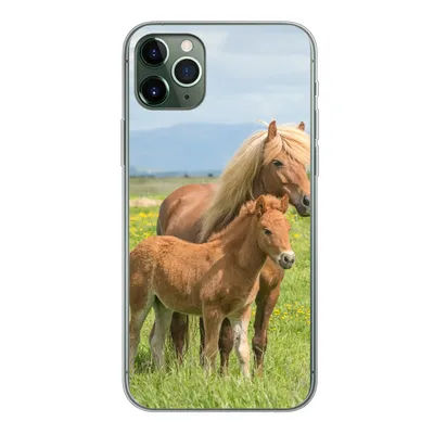 Produktbild von MuchoWow® Handyhülle Schutzhülle Hülle für iPhone 11 Pro Max Pferde - Fohlen - Gebirge Silikon Softcase Handy Hülle - Schutz