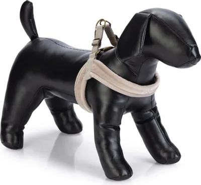 Produktbild von Designed by Lotte Hundegeschirr Velura