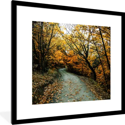 Produktbild von MuchoWow® Gerahmtes Poster Blätter - Herbst - Wald 40x40 cm - Poster mit Schwarzem Bilderrahmen Wandposter Rahmen Foto Bilder - Poster - Plakat im Rahmen