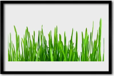 Produktbild von Bild 60x40 MDF-Rahmen Wandkunst Gras Natur Pflanze