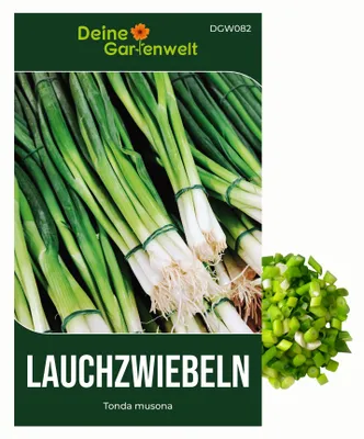 Produktbild von Lauchzwiebeln Tonda musona Samen - Allium cepa - Lauchzwiebelnsamen - Gemüsesamen - Saatgut für 100 Pflanzen