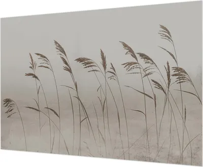 Zdjęcie produktu dla Tapeta ścienna – tapeta dekoracyjna do salonu – folia tapetowa do dekoracji ścian – 312 x 219 cm – trawy we mgle